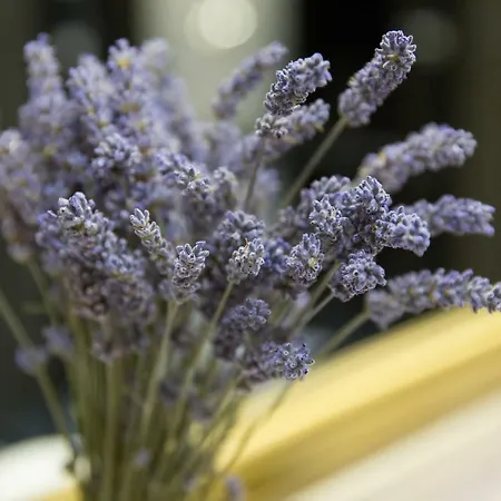 Apartamento Teresa's View Dubrovnik