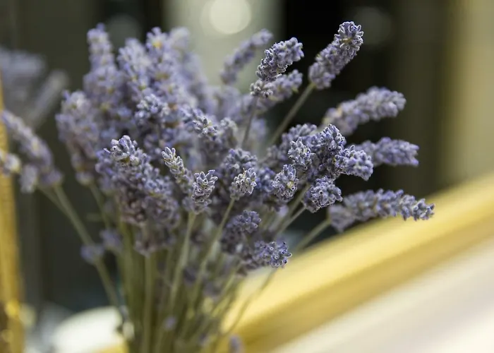 Apartman Teresa's View Dubrovnik